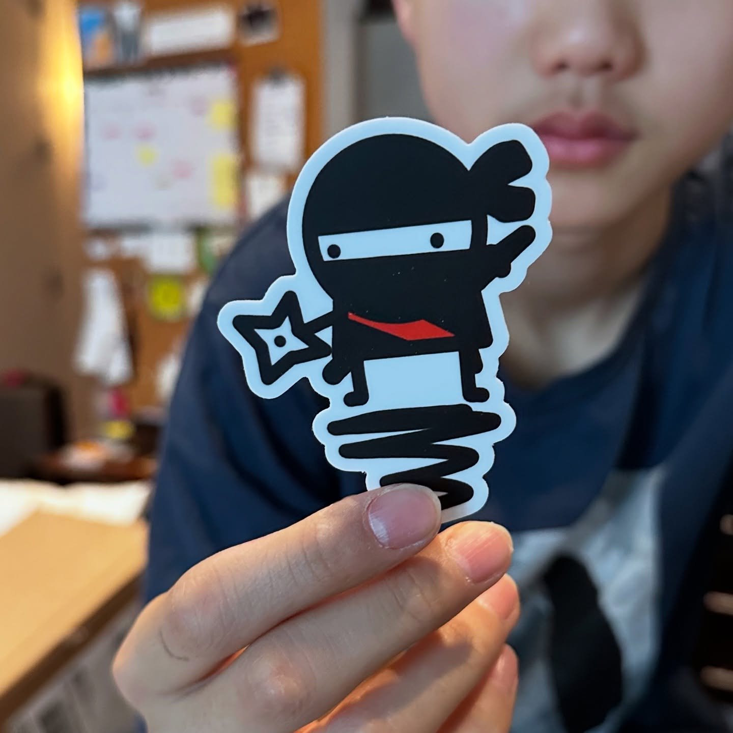 Ninja sticker result