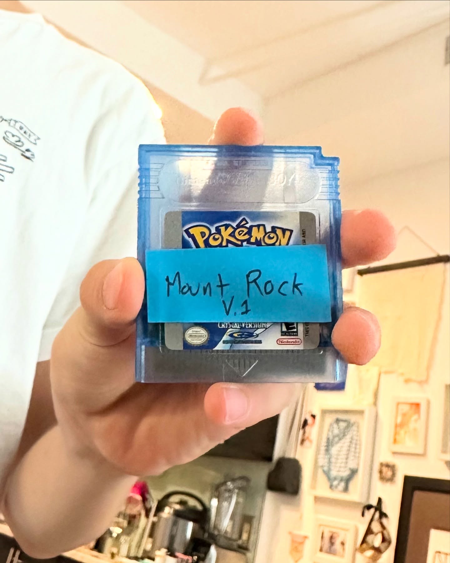 Tru holding GBC cartridge